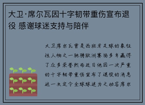 大卫·席尔瓦因十字韧带重伤宣布退役 感谢球迷支持与陪伴
