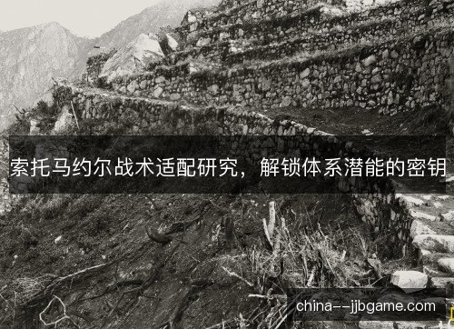 索托马约尔战术适配研究，解锁体系潜能的密钥